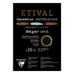 Papier aquarelle Arches 1.13 x 9.15m 300g grain fin Arches chez Rougier &  Plé